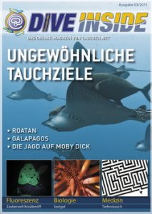 dive_inside_roatan_tauchen-03-11
