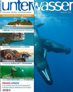 jardines_de_la_reina_haie_tauchen_cuba