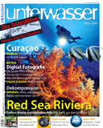 unterwasser_curacao_tauchen_karibik