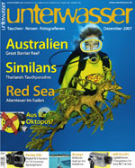 unterwasser_grenada_tauchen