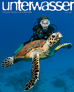 unterwasser_honduras_roatan_tauchreisen