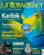 unterwasser_karibik_tauchen_grenada_curacao