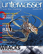 unterwasser_mexiko_tauchen_karibik