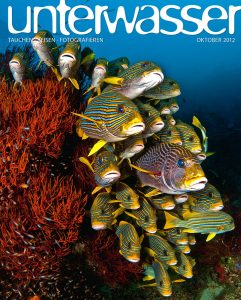 unterwasser_saba_tauchen_karibik