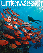 unterwasser_utila_honduras_tauchen