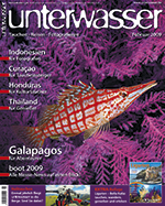 unterwasser_utila_roatan_honduras_tauchreisen