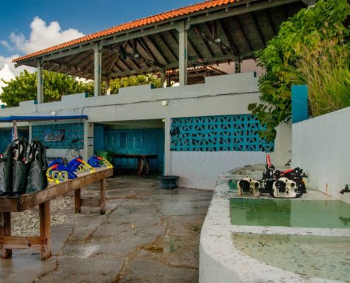 bonaire__captain_dons_tauchen14