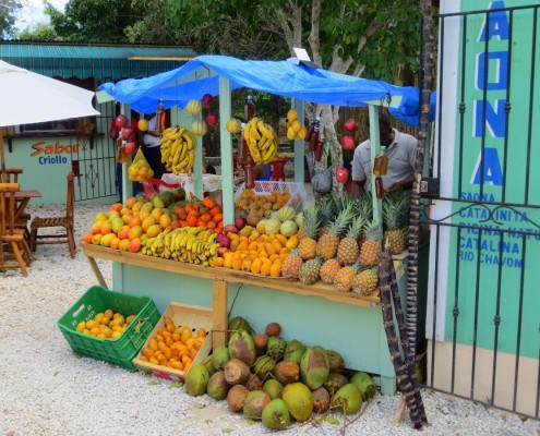 karibik_dominikanische_republik_bayahibe_tauchen_09
