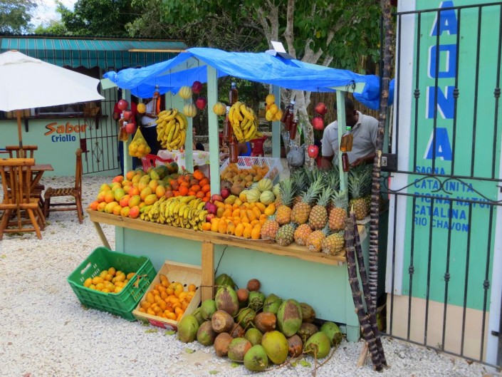 karibik_dominikanische_republik_bayahibe_tauchen_09