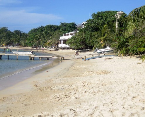 karibik_honduras_roatan_tauchen_westend_03
