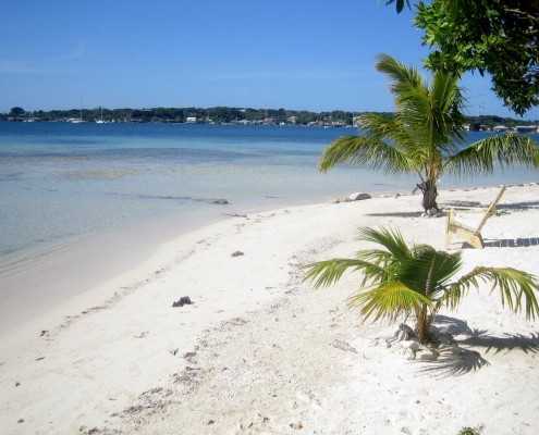 karibik_honduras_utila_tauchen_02