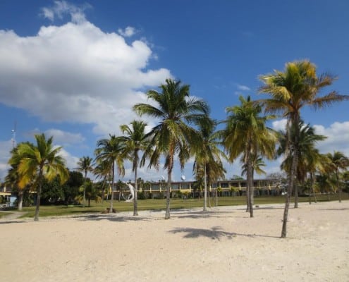 karibik_kuba_schatzinsel_colony16