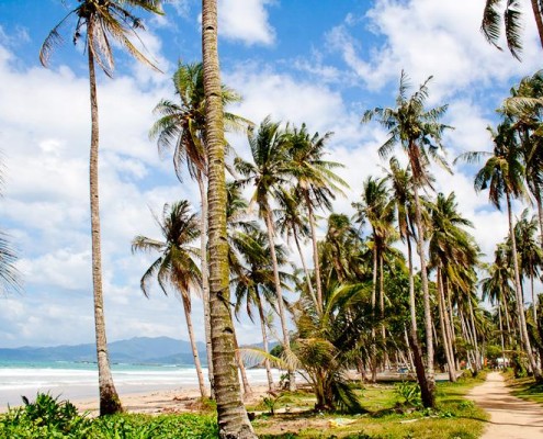 philippinen_palawan_tauchen6