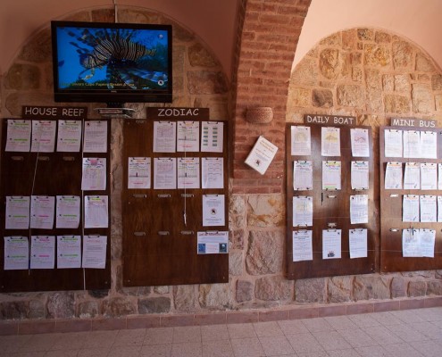 aegpyten_el_qusier_moevenpick_resort_tauchen_19