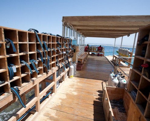 aegpyten_el_qusier_moevenpick_resort_tauchen_44
