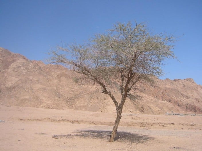 aegypten_rotes_meer_dahab3