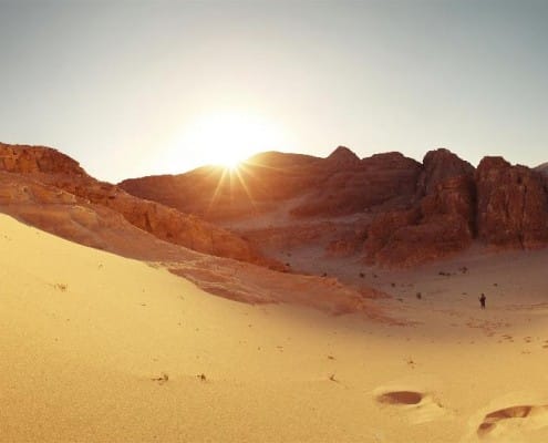 Desert