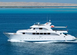 aegypten_seawolf_soul_tauchsafari6