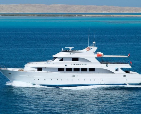 aegypten_seawolf_soul_tauchsafari6