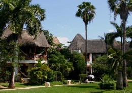 banner_karibik_mexiko_las_palapas_bungalows