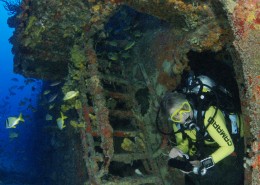 karibik_florida_key_largo_wrack_duane07