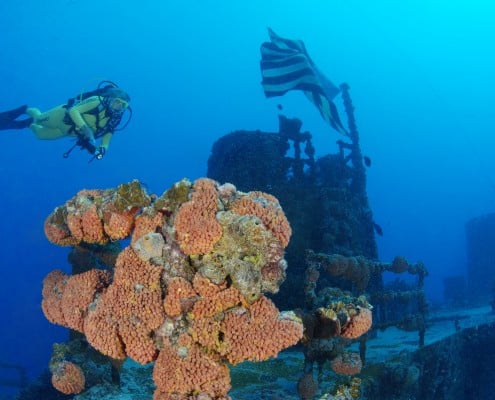 karibik_florida_key_largo_wrack_duane12
