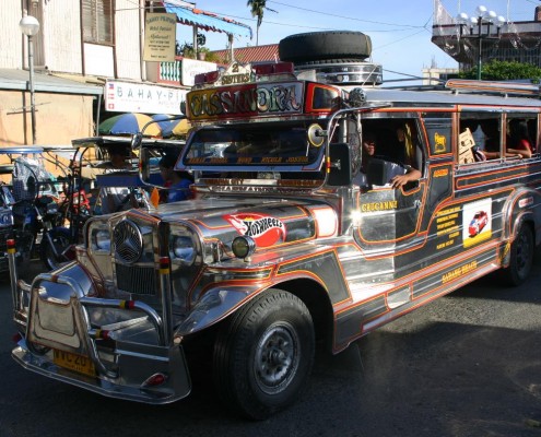 philippinen_mindoro_coco_beach_tauchen_17