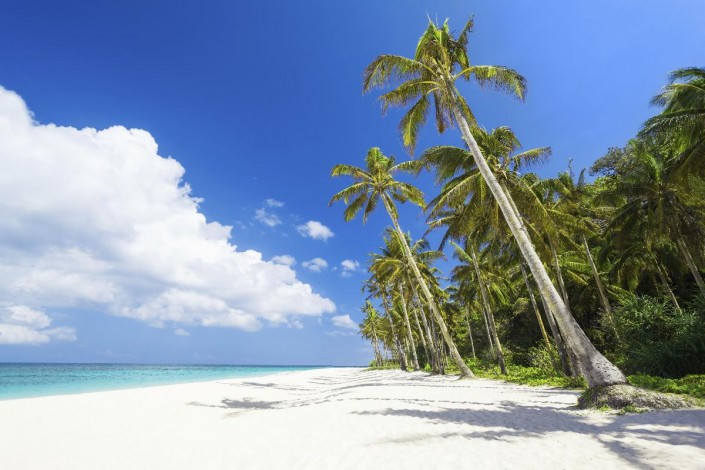 philippinen_tauchreise_tauchen_19