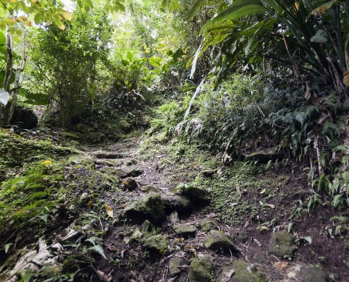karibik_saba_tauchen_crispeen_trail_1