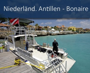 banner_nautilus_tauchreisen_karibik_bonaire_captain_dons_habitat