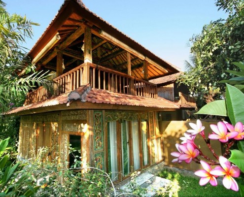 asien_tauchen_pemuteran_bali_indonesien_pondok_sari_werner_lau_6