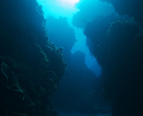karibik_mexiko_cozumel_pro_dive_tauchen_1