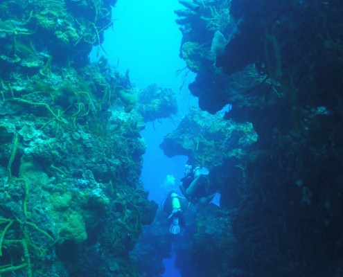 karibik_mexiko_cozumel_pro_dive_tauchen_2