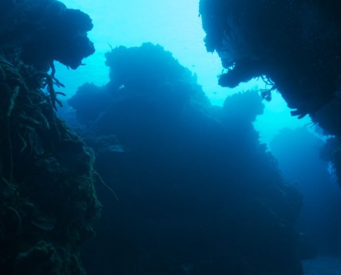 karibik_mexiko_cozumel_pro_dive_tauchen_palancar