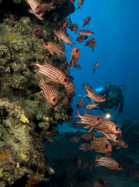 mittelmeer_tuerkei_adrasan_unterwasser17