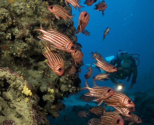 mittelmeer_tuerkei_adrasan_unterwasser17