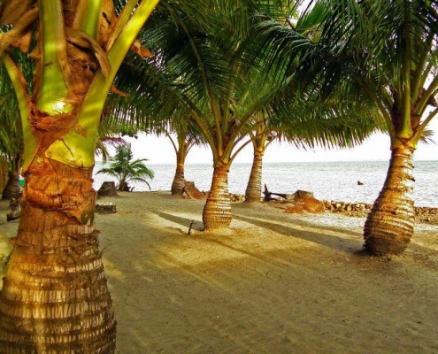 philippinen_palawan_coopers_beach_resort_tauchen_7