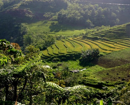 philippinen_visayas_negros_sipaway_sipalay_4