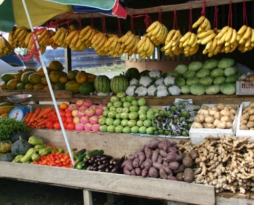 philippinen_visayas_negros_sipaway_sipalay_8