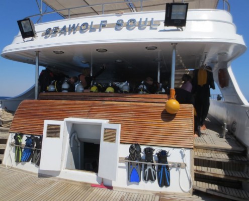 aegypten_tauchsafari_seawolf_soul_gruppe_13