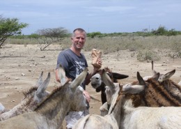 karibik_bonaire_esel_donkey_sanctuary