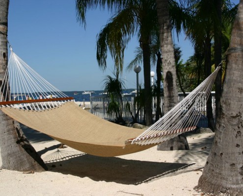 newsletter_florida_bayside_inn_2