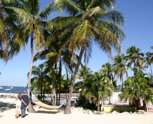 newsletter_florida_bayside_inn_3