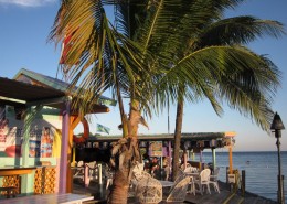 newsletter_florida_key_largo_