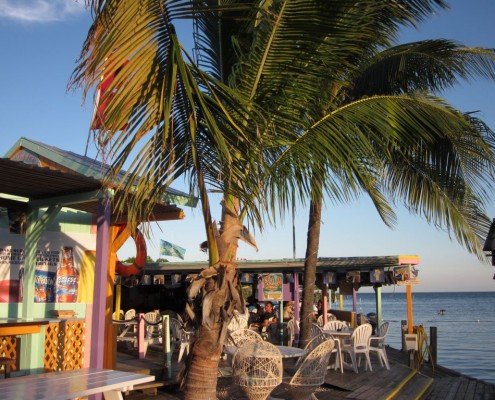 newsletter_florida_key_largo_