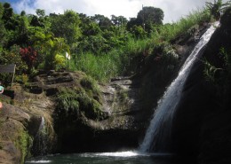 newsletter_karibik_grenada_7