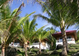 newsletter_philippinen_bohol_anda_blue_star_3
