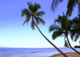 newsletter_philippinen_bohol_cabilao_1