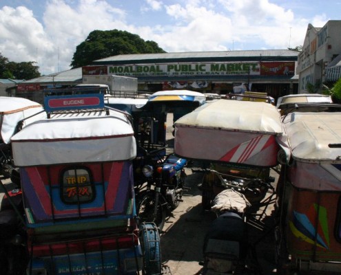 newsletter_philippinen_cebu_moalboal_dolphin_house_ravenala_5