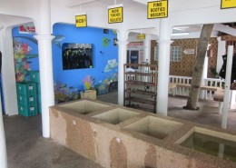newsletter_philippinen_malapascua_exotic_2